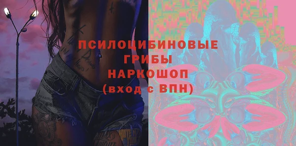 молекула духа Алзамай