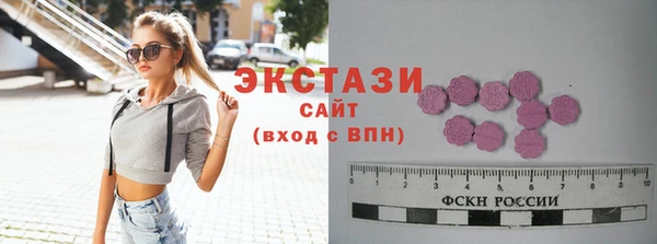 гашик Алексин