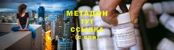 гашик Алексин