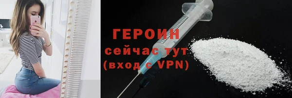 гашик Алексин
