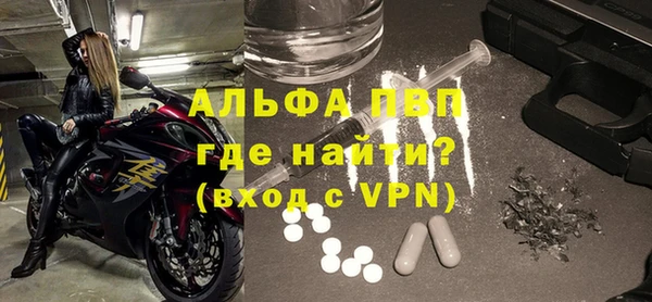 гашик Алексин