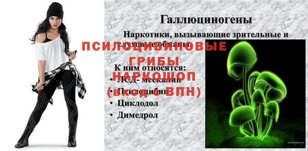 гашик Алексин